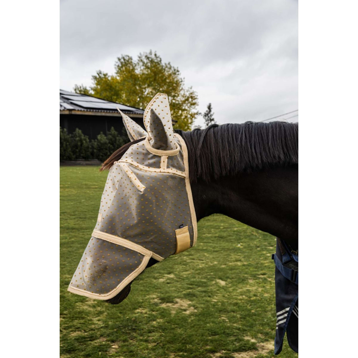 Kentucky Máscara para Moscas Heart con Orejas y Nariz Beige