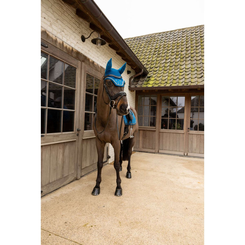 Kentucky Bonete para Orejas Wellington Velvet Horse Printing Navy