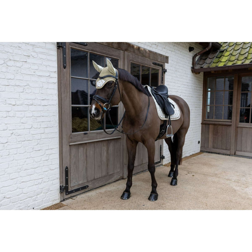 Kentucky Bonete para Orejas Wellington Velvet Horse Printing Beige
