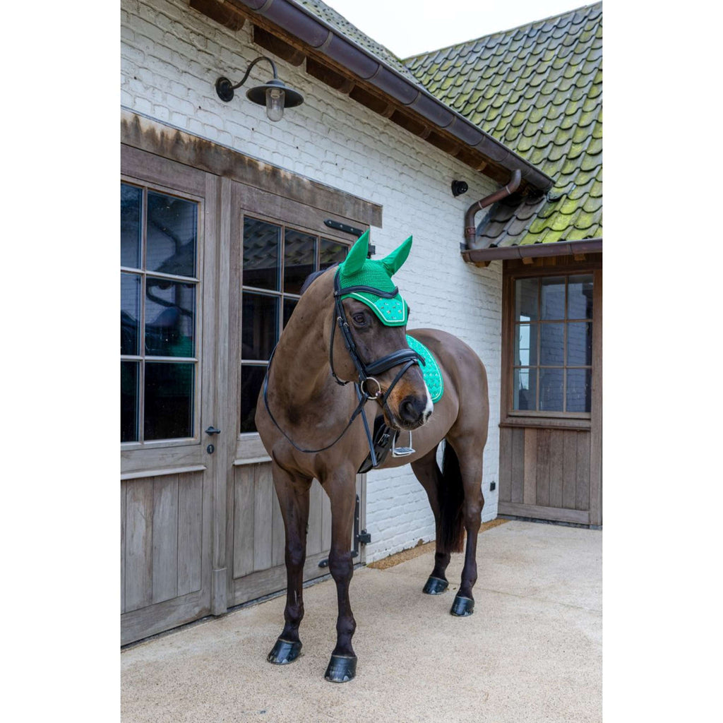 Kentucky Bonete para Orejas Wellington Velvet Horse Printing Verde
