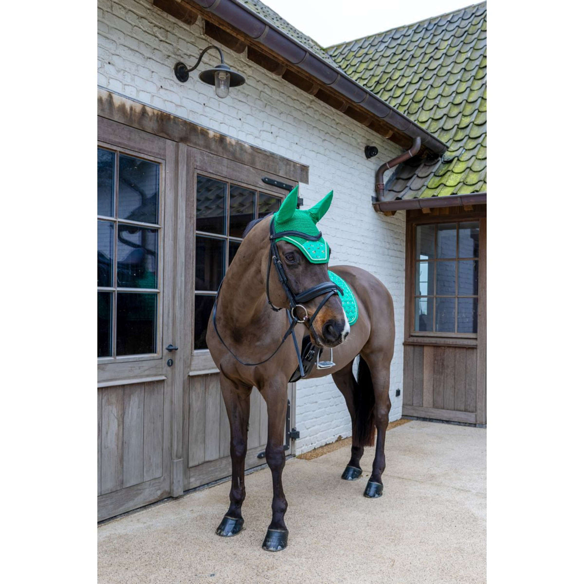 Kentucky Bonete para Orejas Wellington Velvet Horse Printing Verde