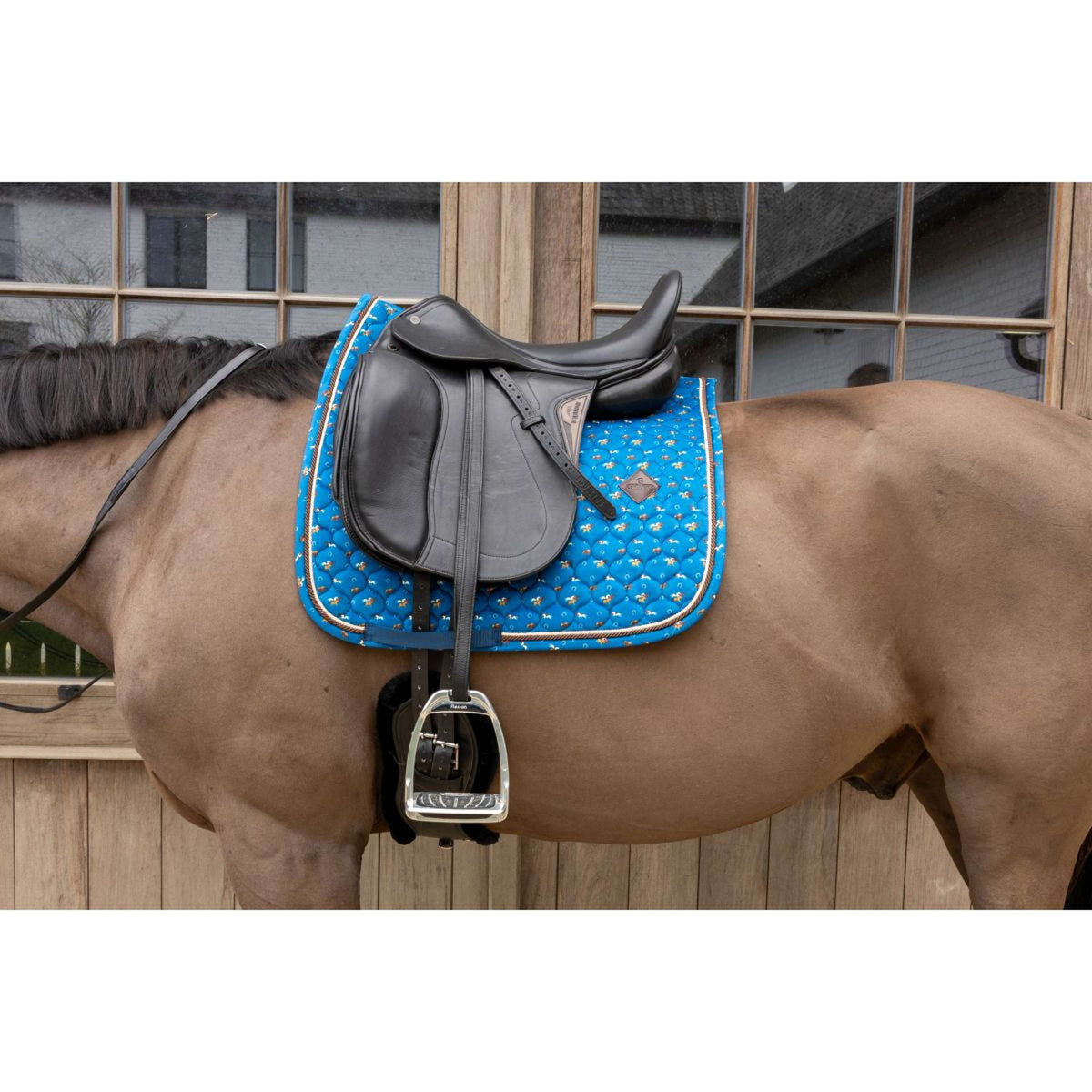 Kentucky Mantilla Velvet Horse Printing Doma clásica Navy