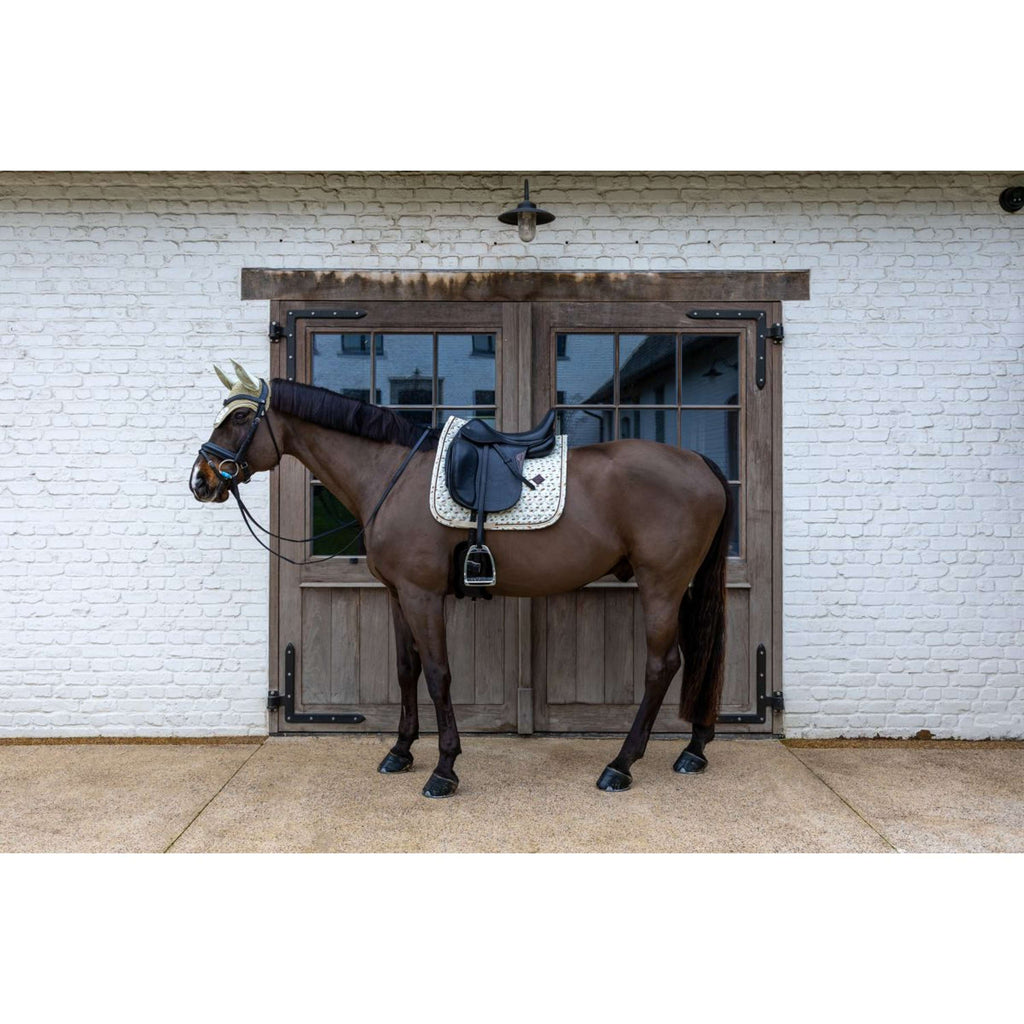 Kentucky Mantilla Velvet Horse Printing Doma clásica Beige