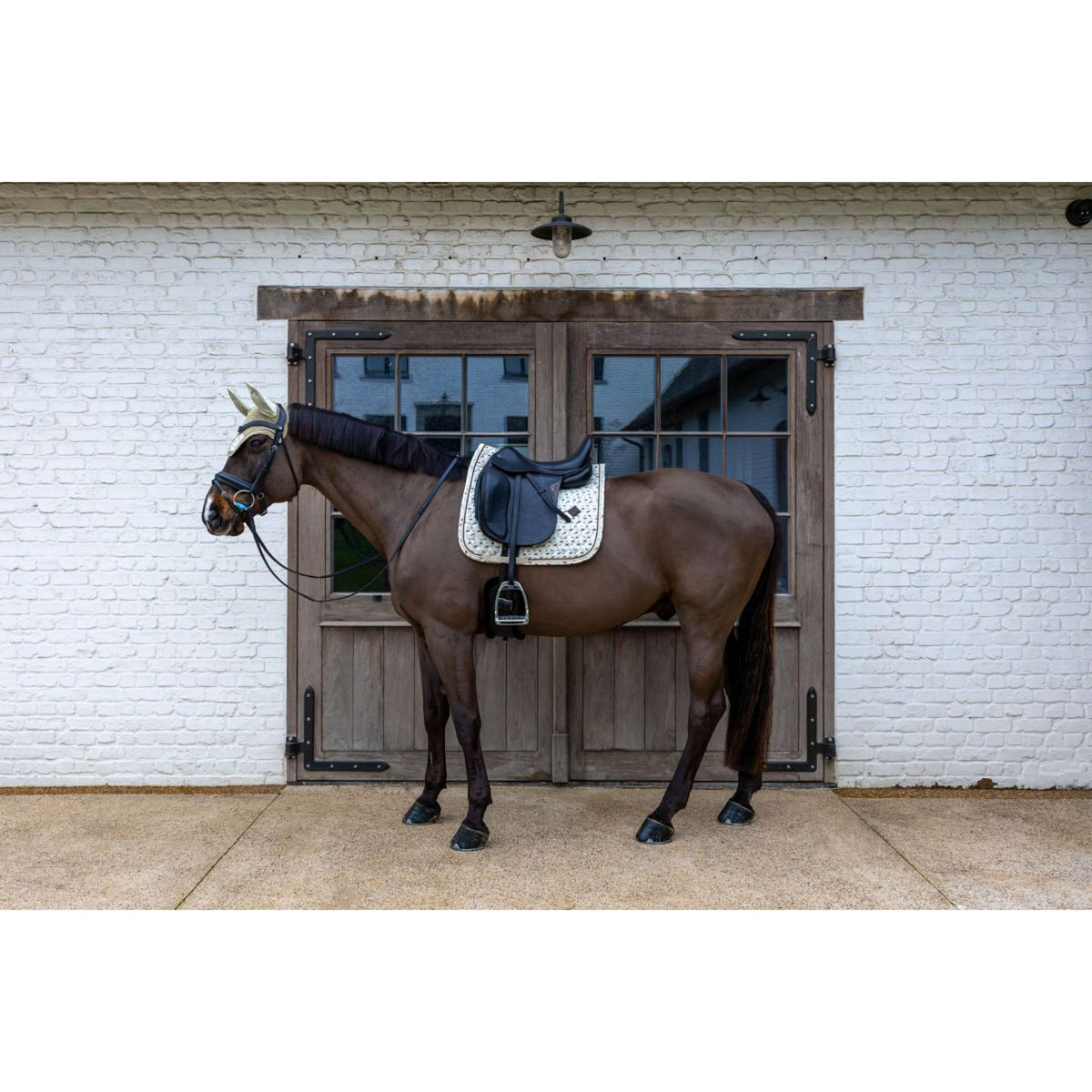 Kentucky Mantilla Velvet Horse Printing Doma clásica Beige