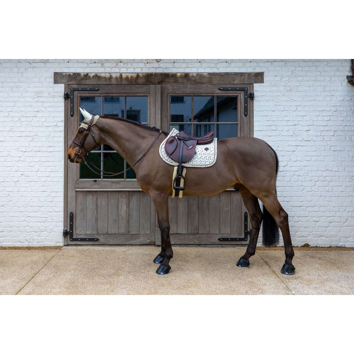 Kentucky Mantilla Velvet Horse Printing Beige