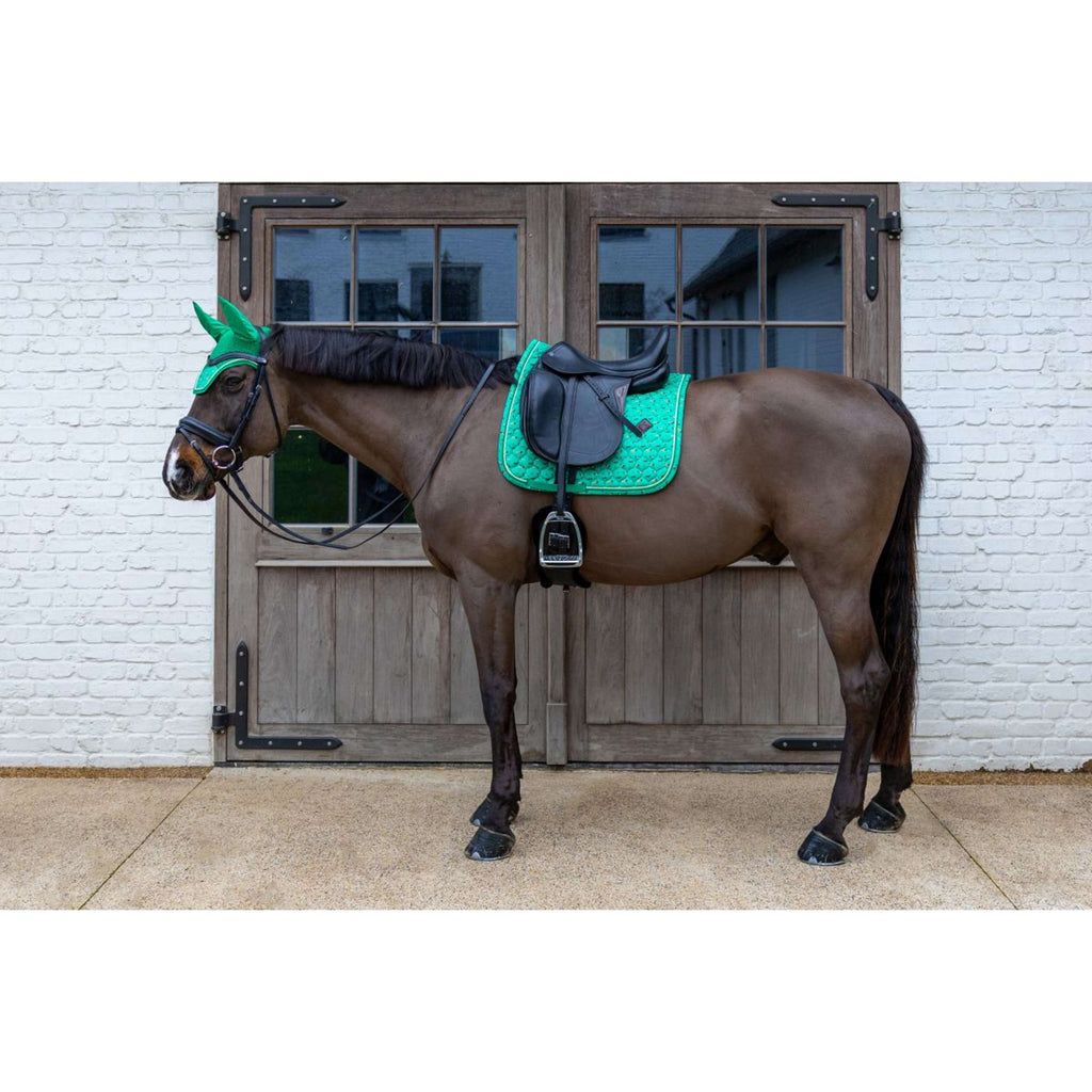 Kentucky Mantilla Velvet Horse Printing Doma clásica Verde