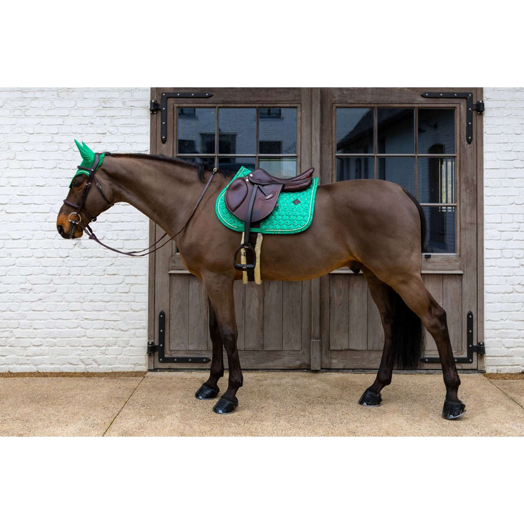 Kentucky Mantilla Velvet Horse Printing saltando Verde