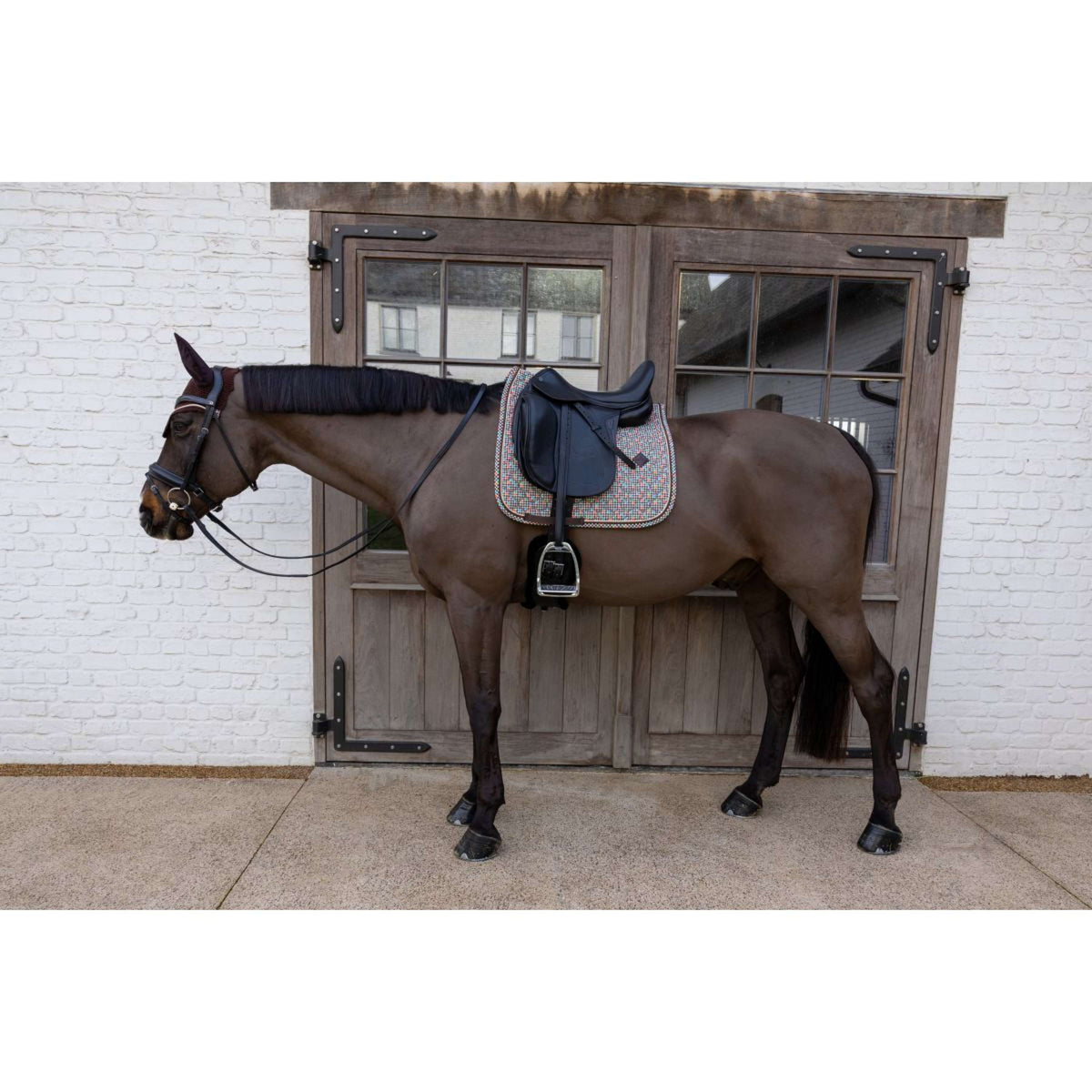 Kentucky Mantilla Velvet Pied De Poule Doma clásica Marron