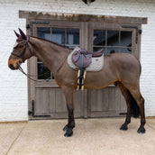 Kentucky Mantilla Velvet Pied De Poule saltando Marron