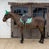 Kentucky Mantilla Velvet Pied De Poule saltando Verde claro