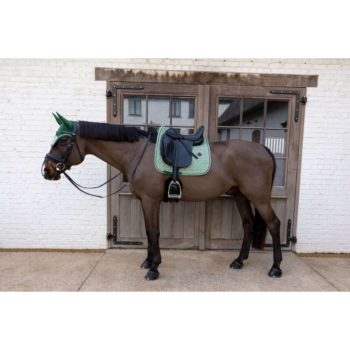 Kentucky Mantilla Velvet Pied De Poule Doma clásica Verde oscuro