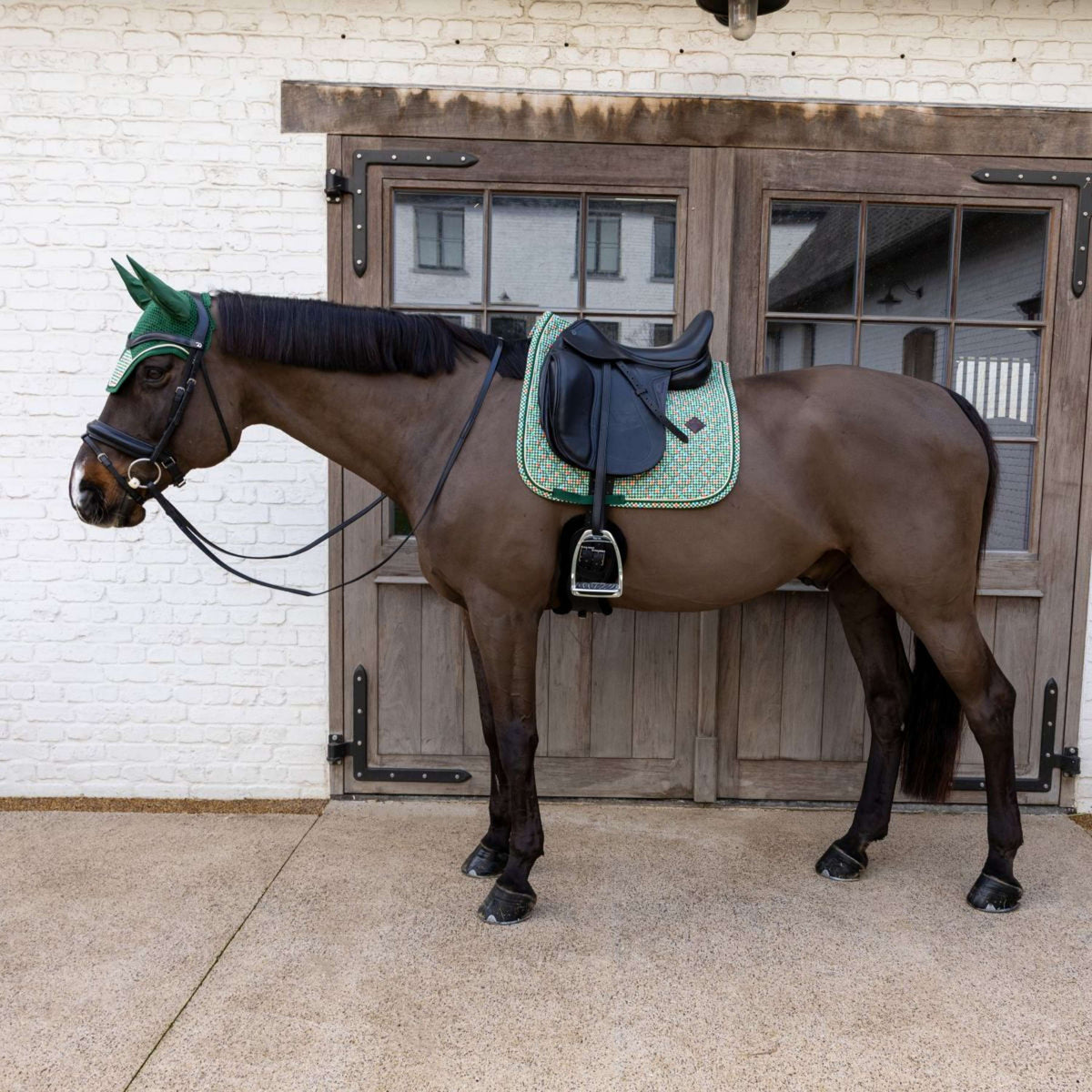 Kentucky Mantilla Velvet Pied De Poule Doma clásica Verde oscuro