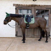 Kentucky Mantilla Velvet Pied De Poule Doma clásica Verde oscuro
