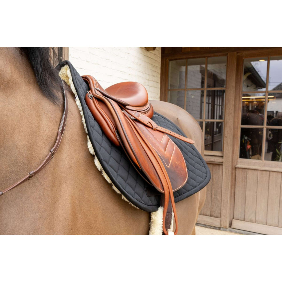 Kentucky Mantilla Skin Friendly Diamond saltando Negro