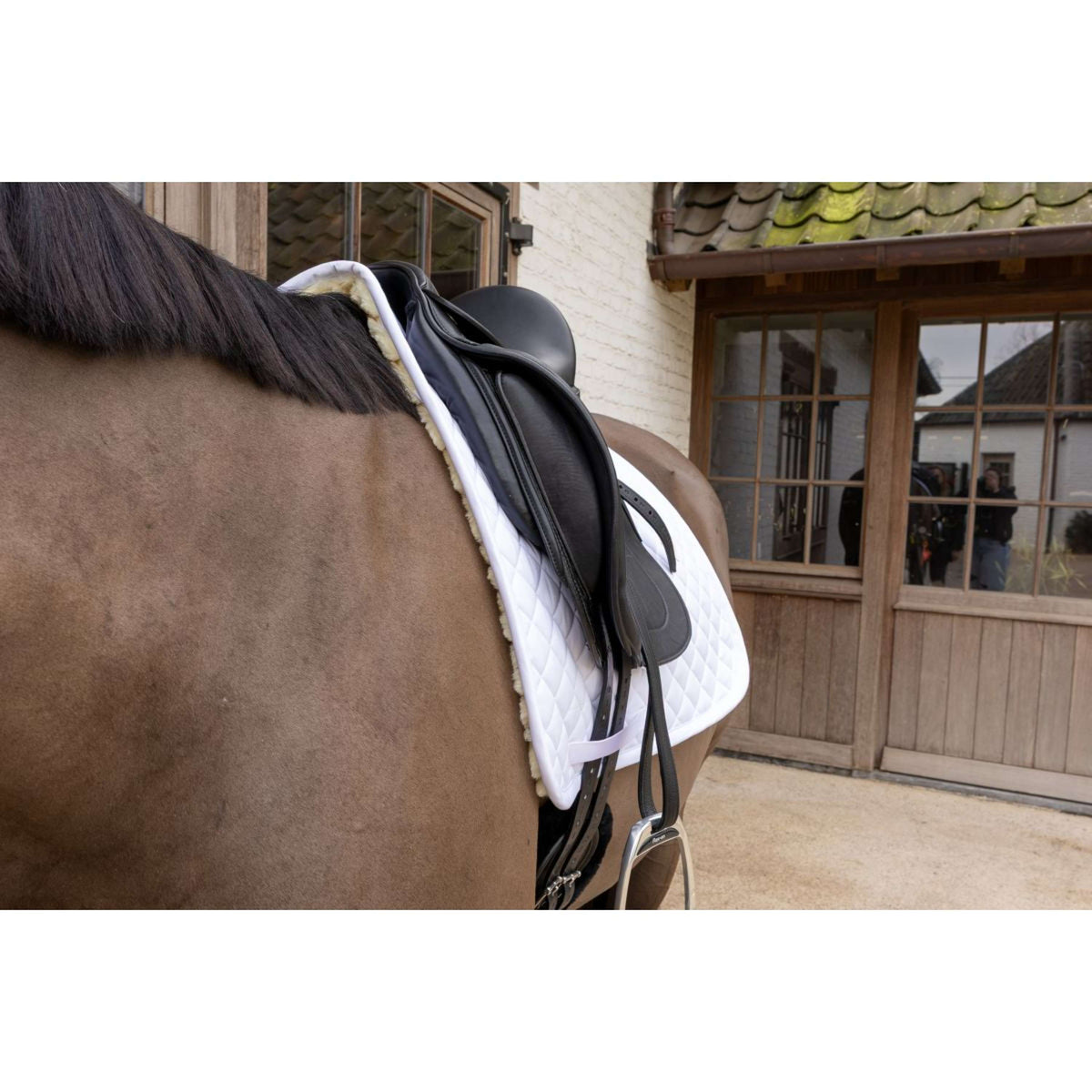 Kentucky Mantilla Skin Friendly Diamond Doma clásica Blanco