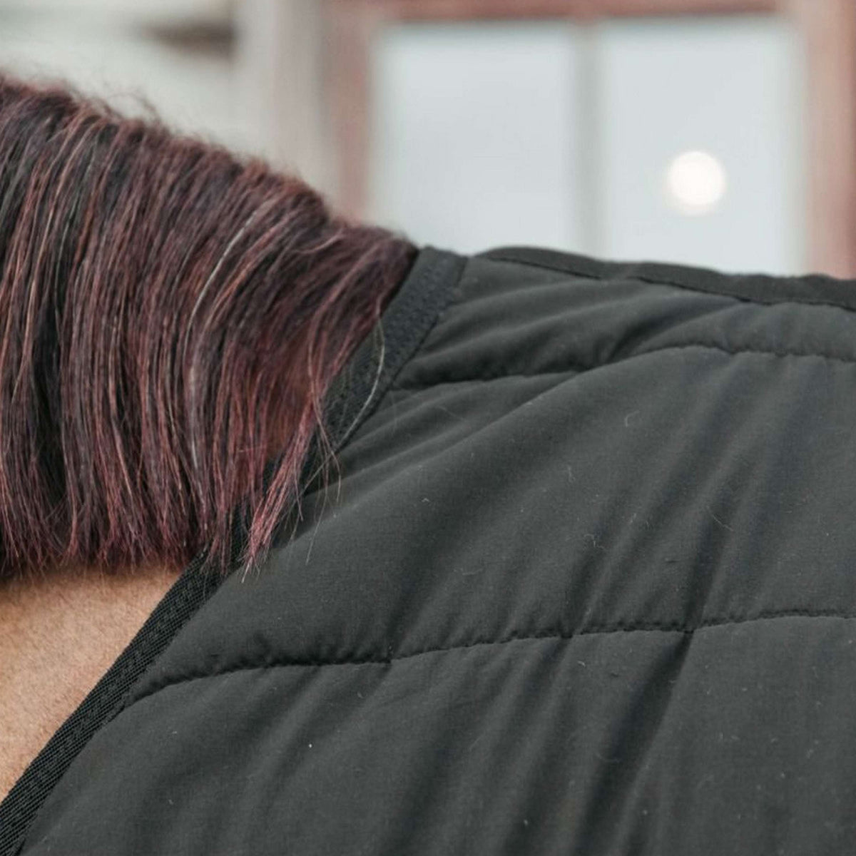 Kentucky Horsewear Bajoalfombra Skin Friendly 150g Negro