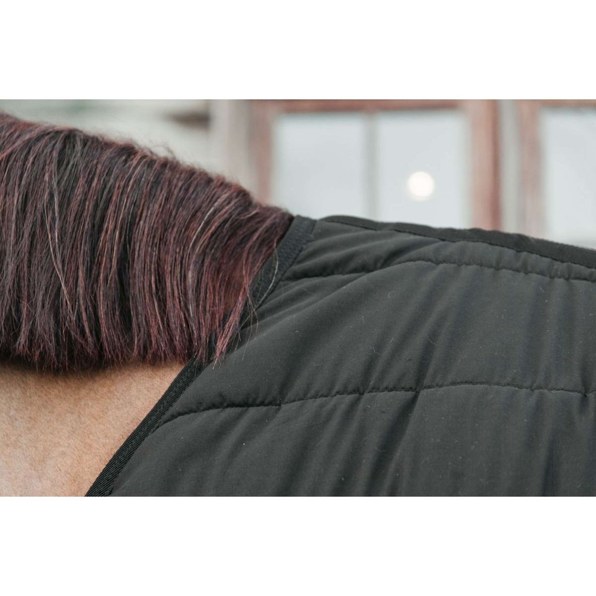 Kentucky Bajoalfombra Skin Friendly 300g Negro