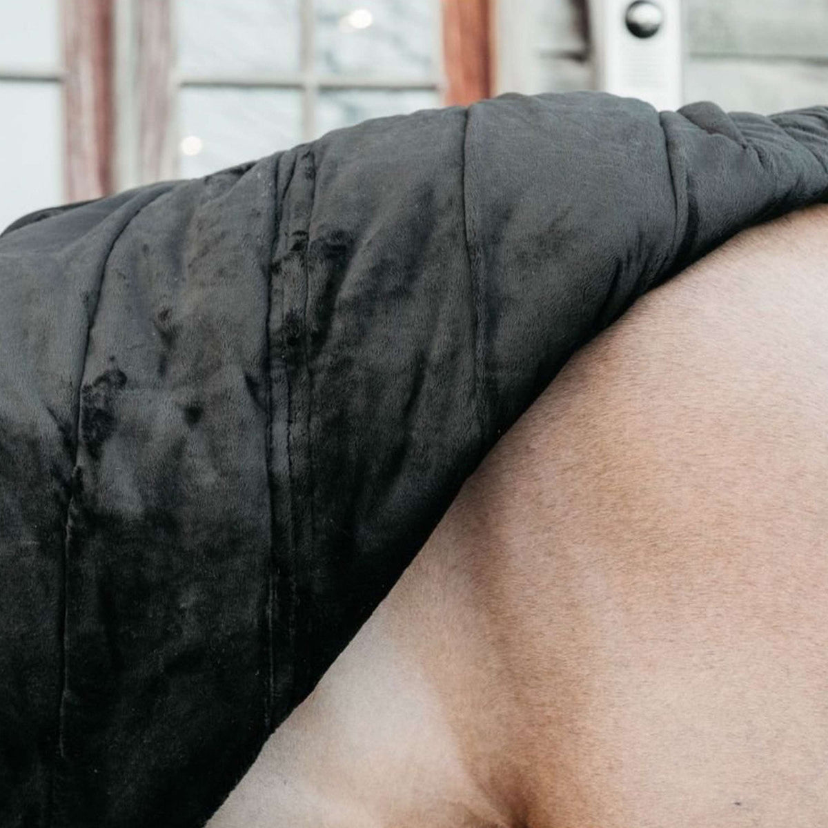 Kentucky Horsewear Bajoalfombra Skin Friendly 150g Negro