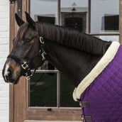 Kentucky Horsewear Manta de exhibición Royal 160g Morado