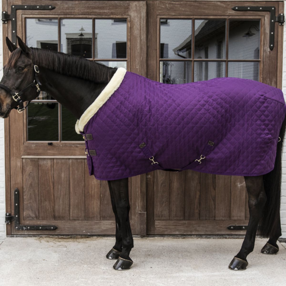 Kentucky Horsewear Manta de exhibición Royal 160g Morado