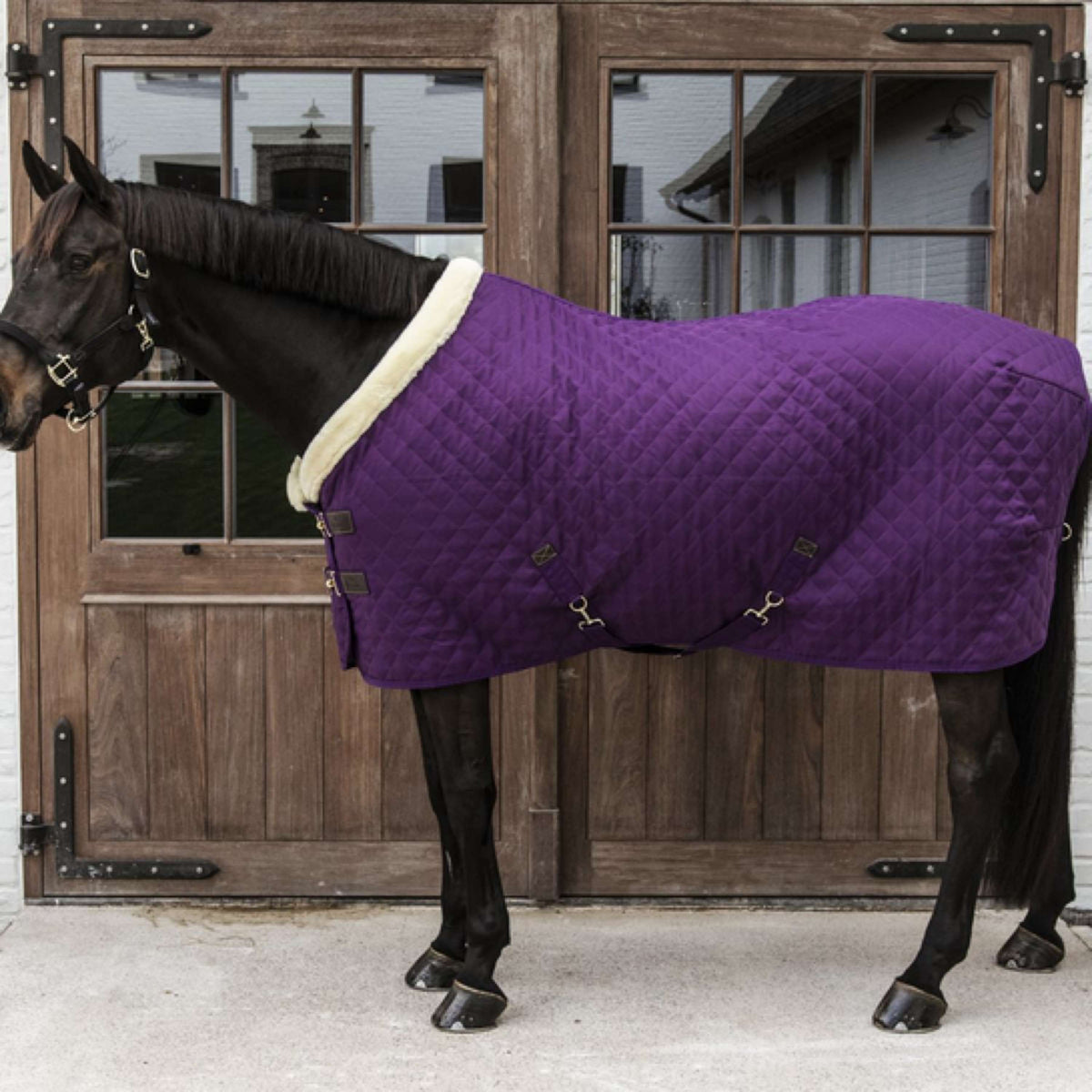 Kentucky Horsewear Manta de exhibición Royal 160g Morado