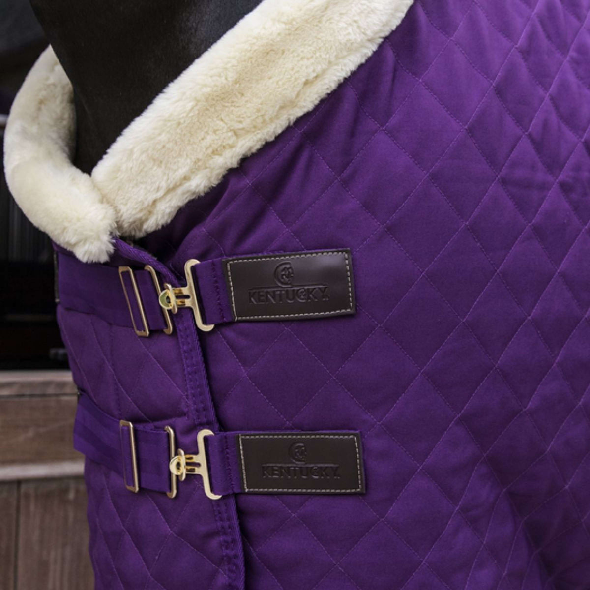 Kentucky Horsewear Manta de exhibición Royal 160g Morado