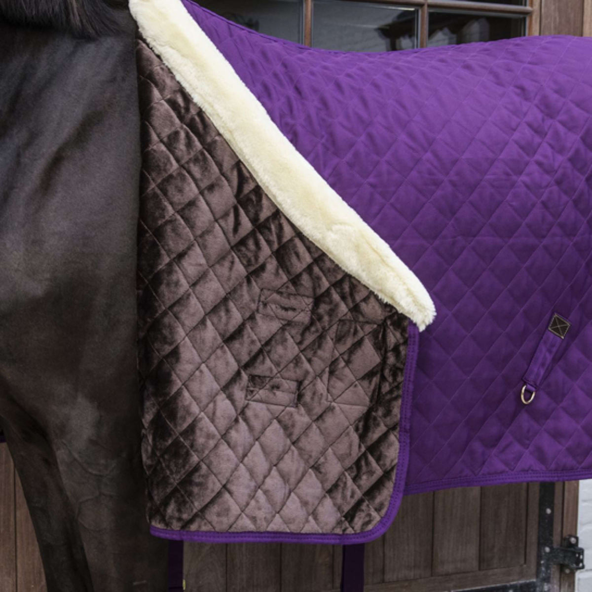 Kentucky Horsewear Manta de exhibición Royal 160g Morado