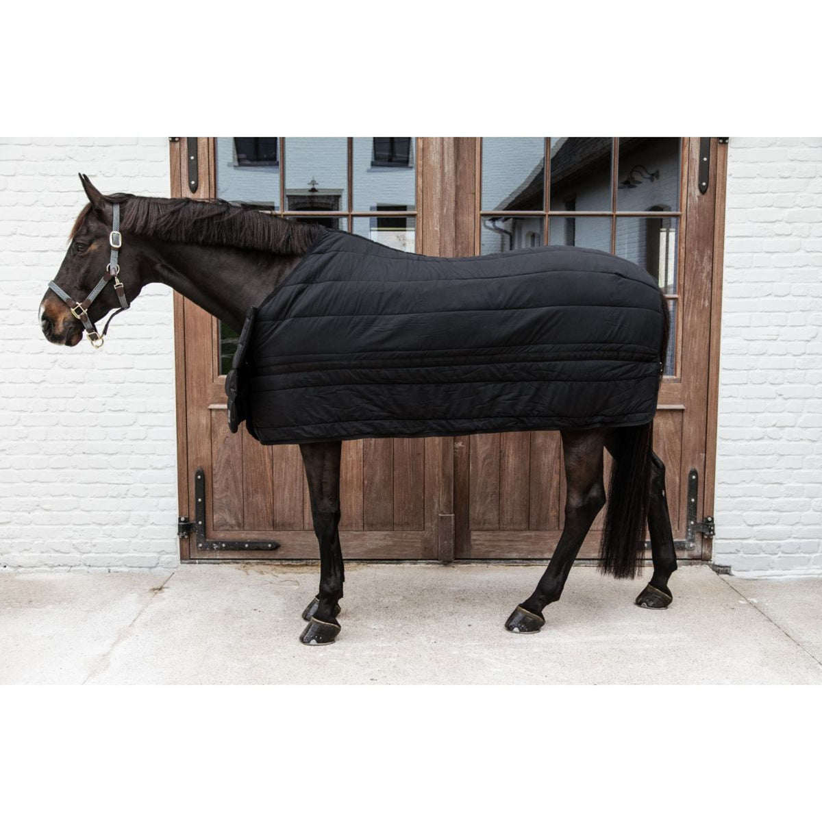 Kentucky Bajoalfombra Skin Friendly 300g Negro