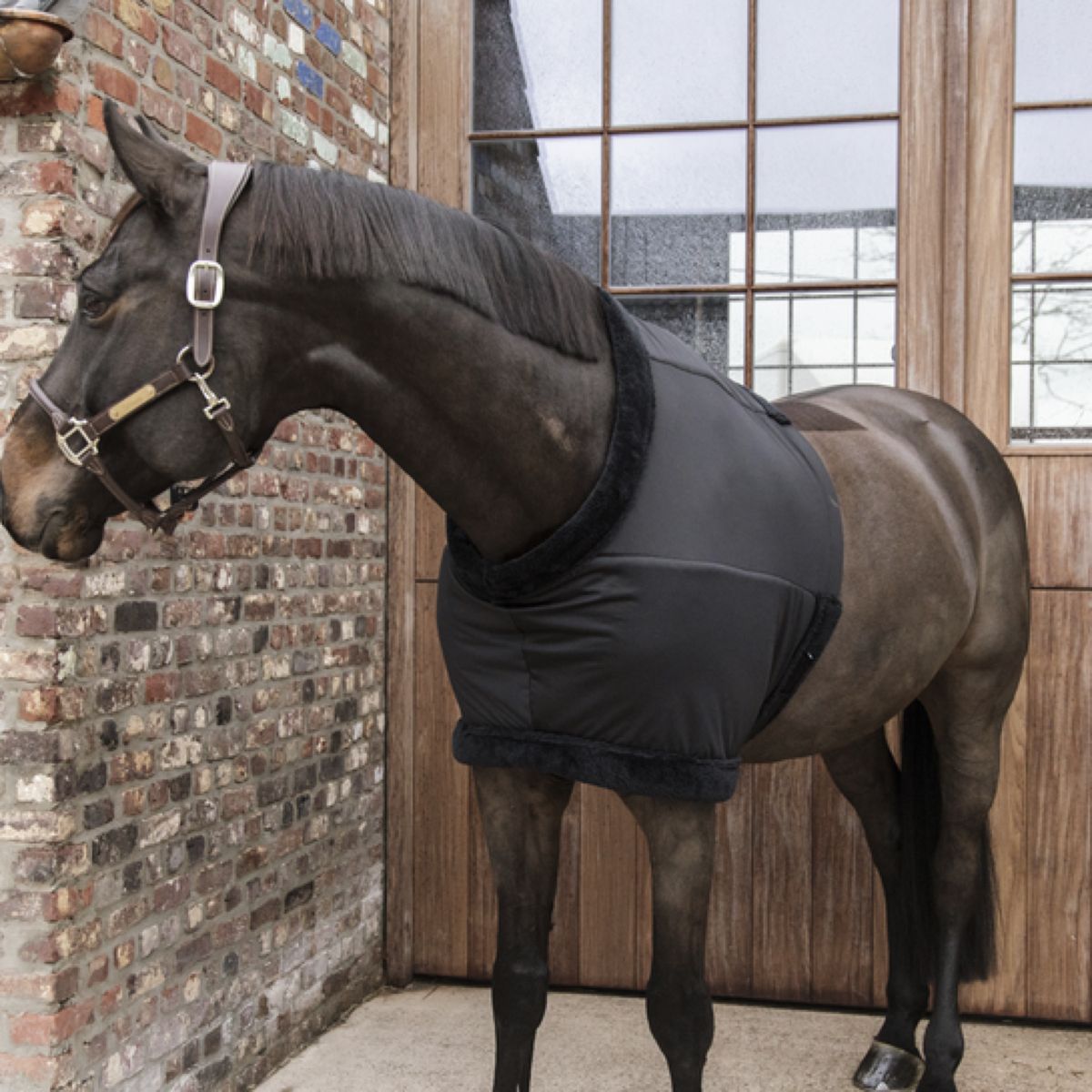 Kentucky Horsewear Protector de Pecho Negro