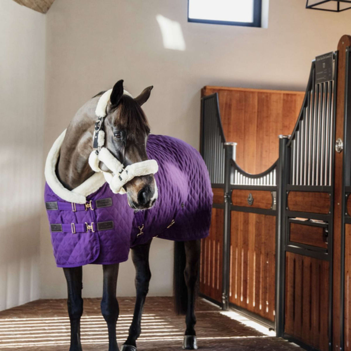 Kentucky Horsewear Manta de exhibición Royal 160g Morado