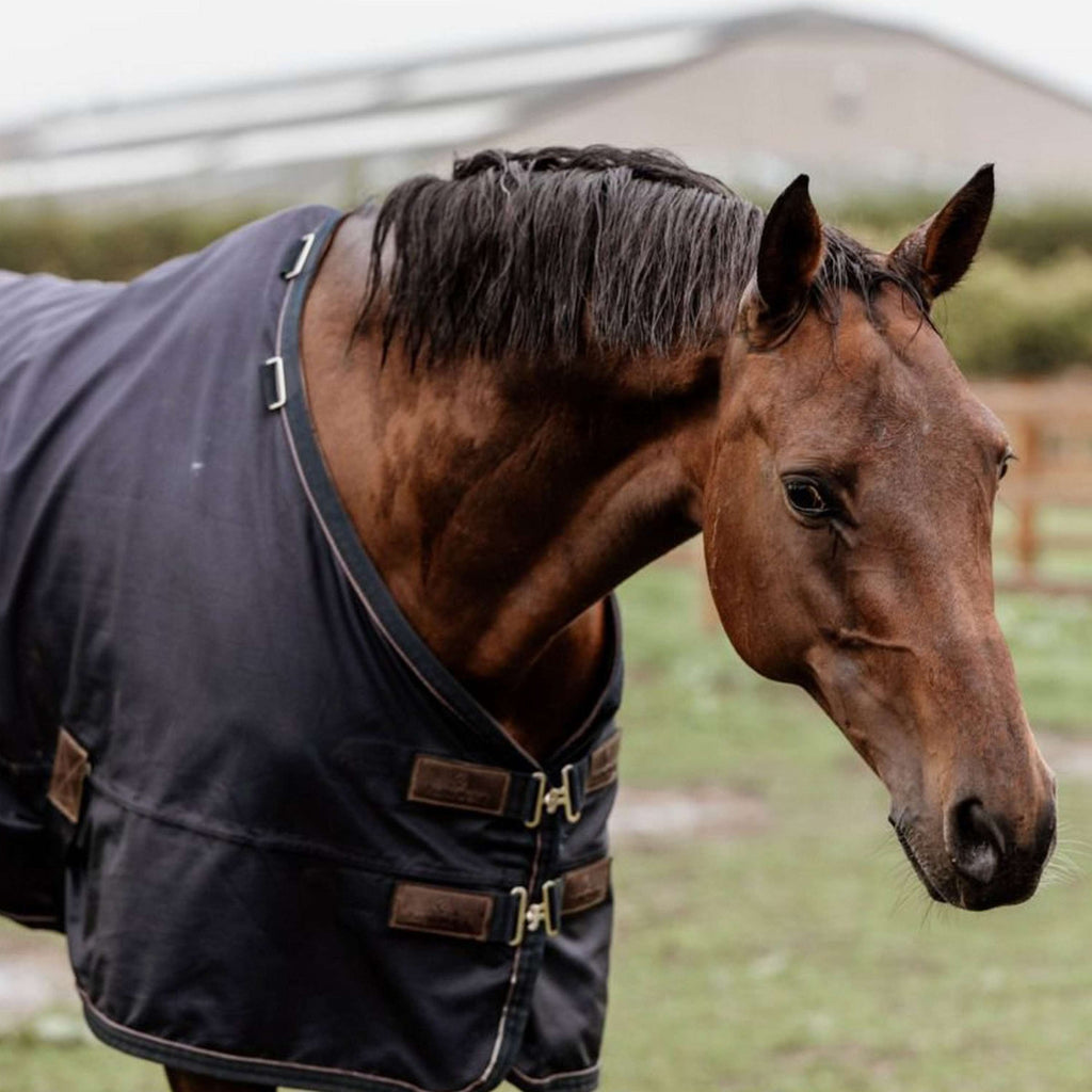 Kentucky Horsewear Turnout Rug Todo clima 0g Navy
