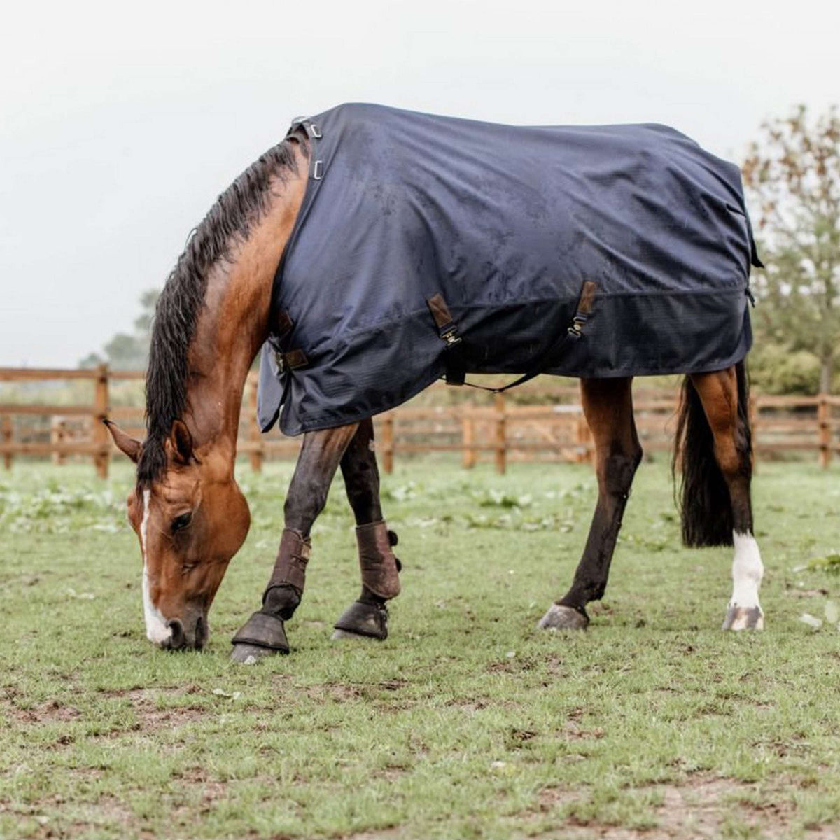 Kentucky Horsewear Turnout Rug All Weather 300g Navy