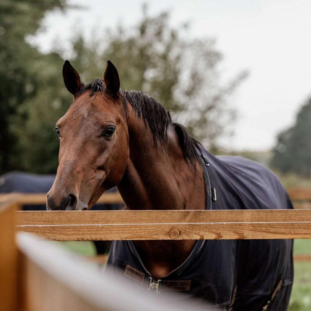 Kentucky Horsewear Turnout Rug Todo clima 0g Navy