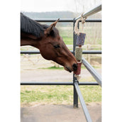 Grooming Deluxe by Kentucky Relax Horse Toy Wooden Freedom