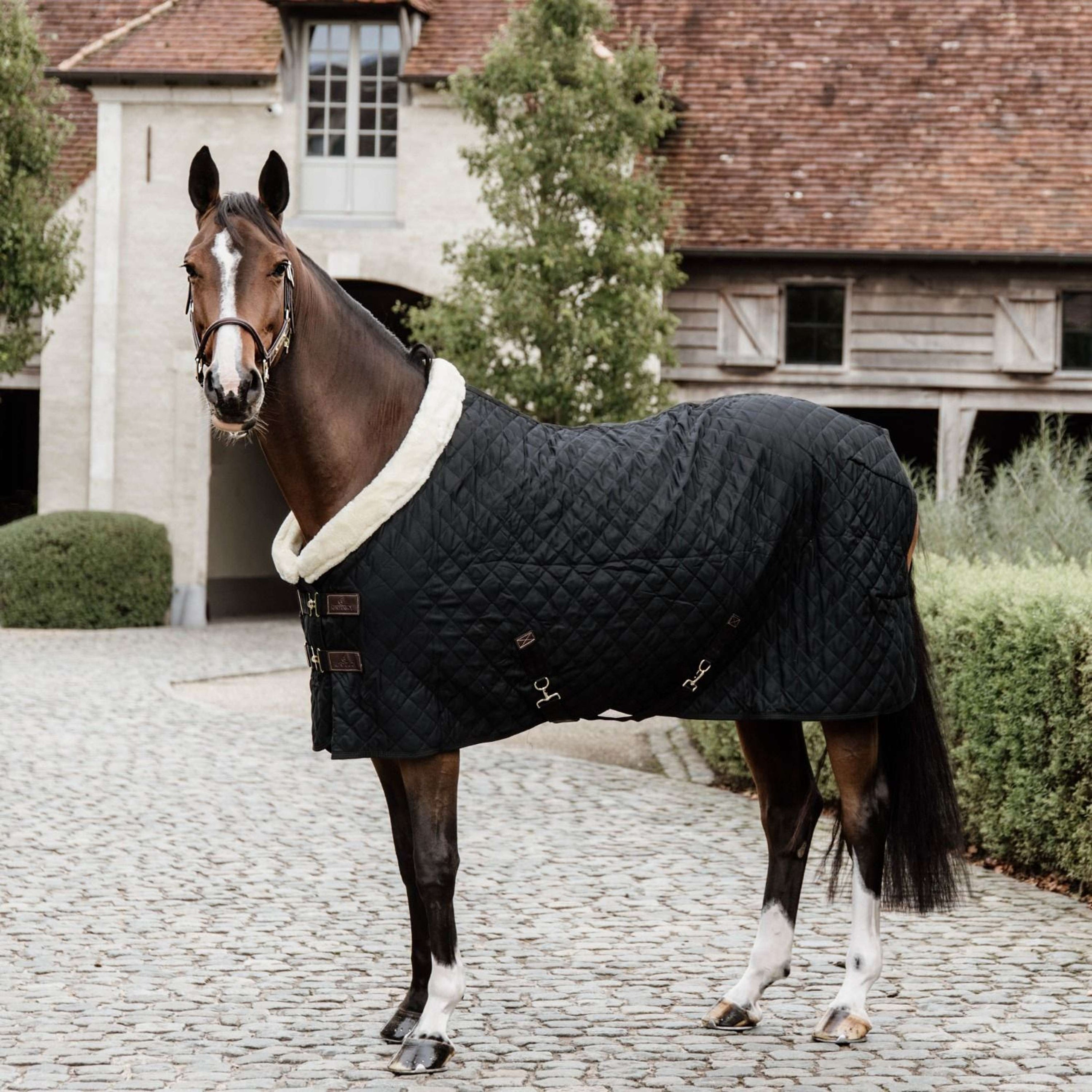 Kentucky Horsewear Manta de exhibición Negro/Natural Kentucky Horsewear Manta de exhibición Negro/Natural