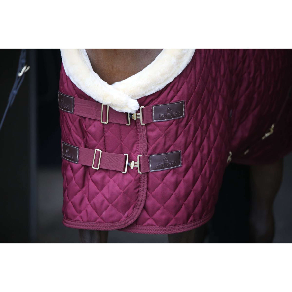 Kentucky Manta de exhibición 160g Bordeaux