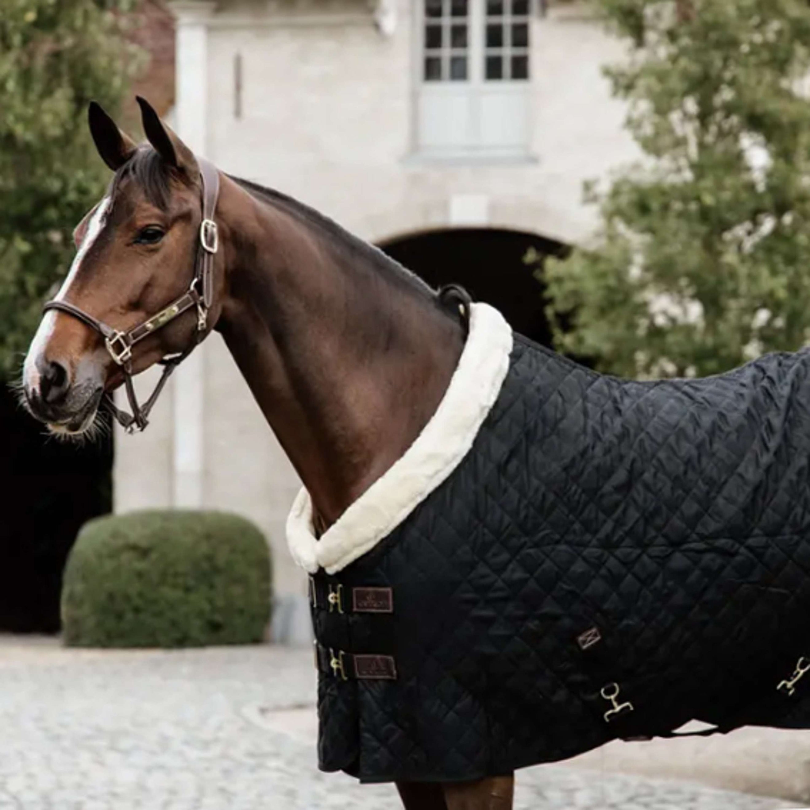 Kentucky Horsewear Manta de exhibición Negro/Natural Kentucky Horsewear Manta de exhibición Negro/Natural