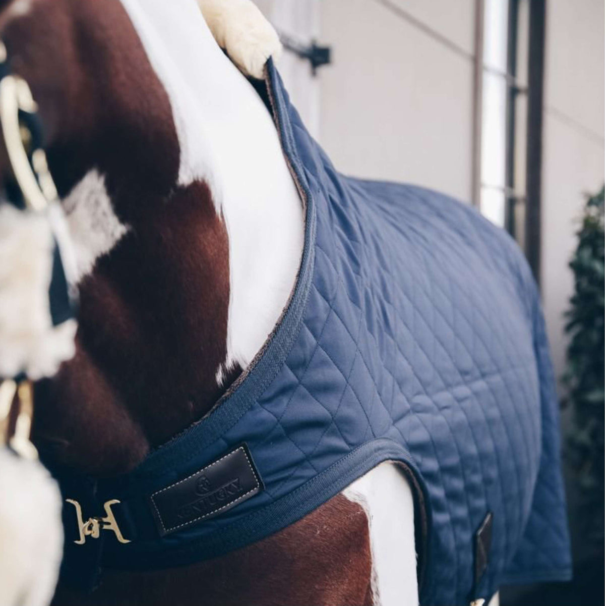 Kentucky Horsewear Manta para caminador 160g Navy