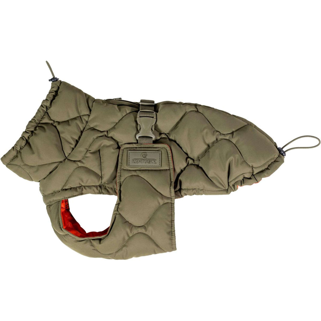 Kentucky Dogwear Manta para Perros Winter Pina 160g Pine Green