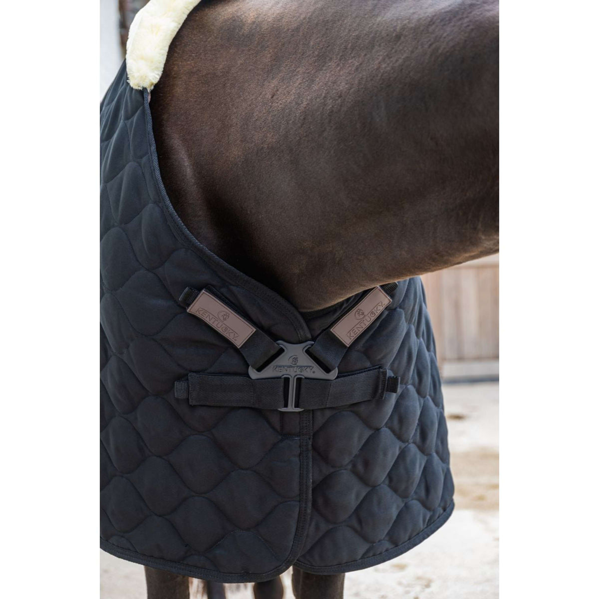 Kentucky Manta de Establo Comfort 100g Negro