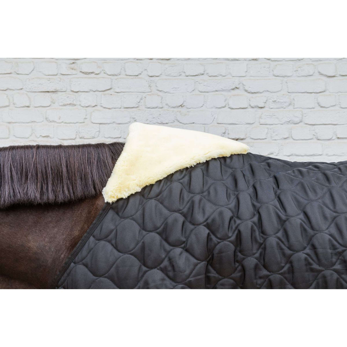 Kentucky Manta de Establo Comfort 100g Negro