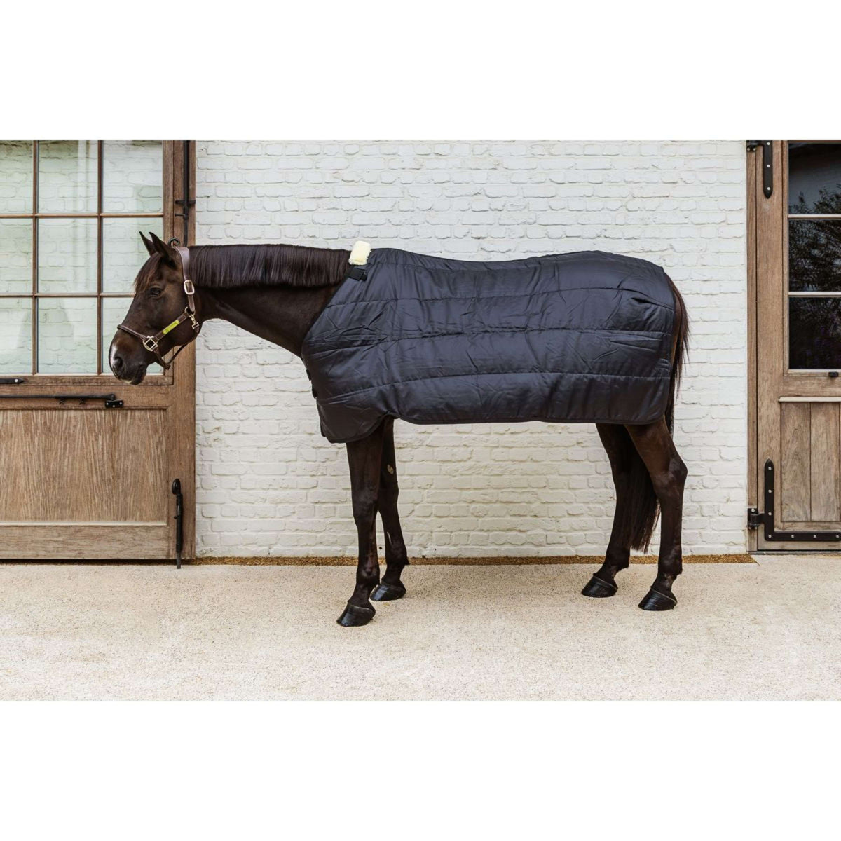 Kentucky Turnout Rug Comfort Liner Pro 100g Negro