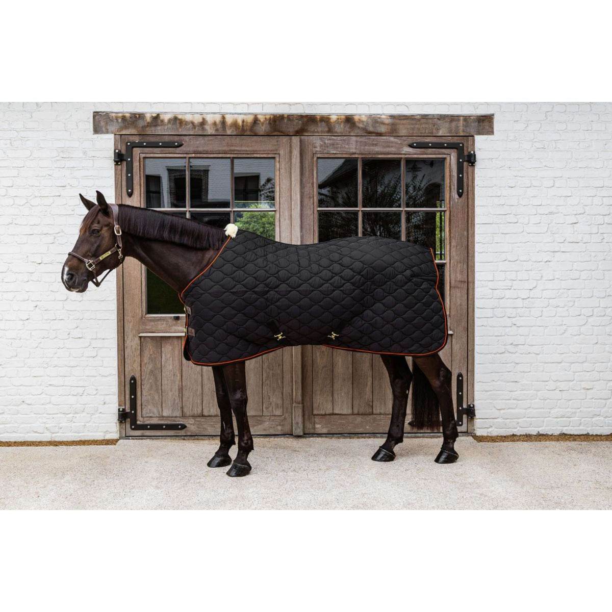 Kentucky Manta de Establo Wave Negro