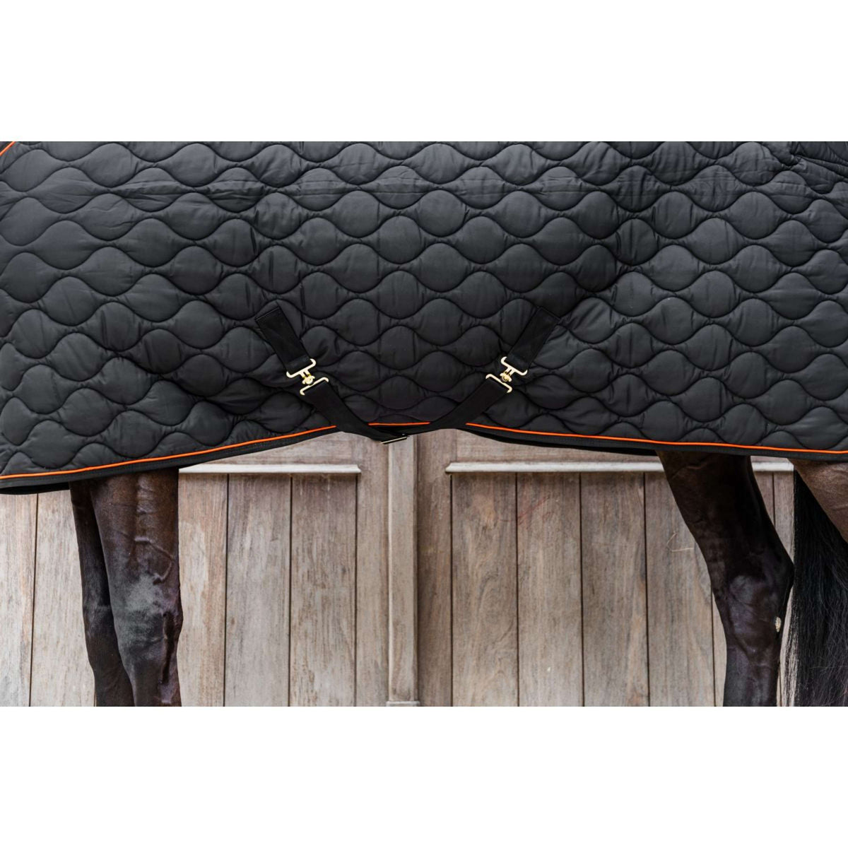 Kentucky Manta de Establo Wave Negro