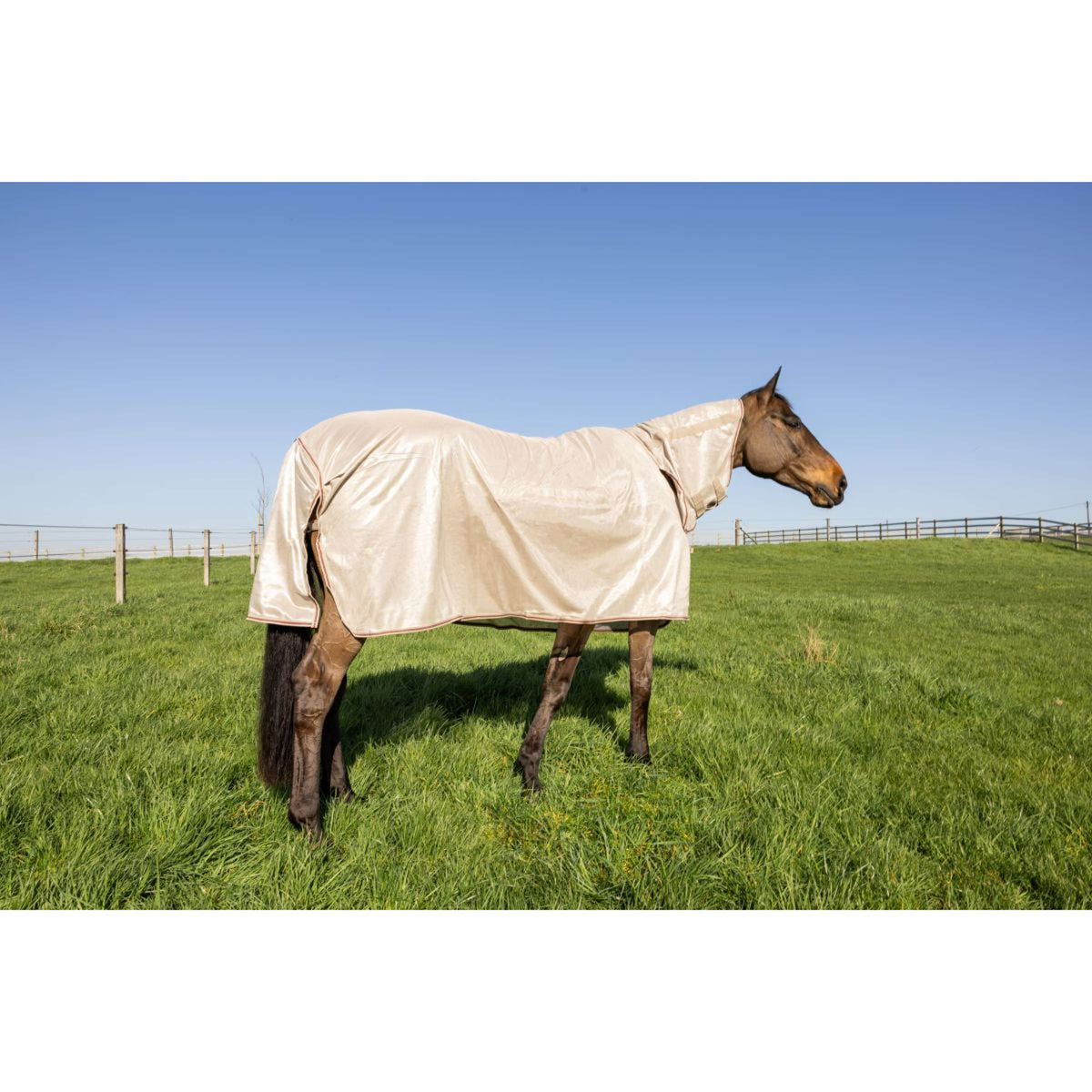 Kentucky Manta Antimoscas Comfort Mesh Classic with Neck & Belly Cover Beige/Bordeaux