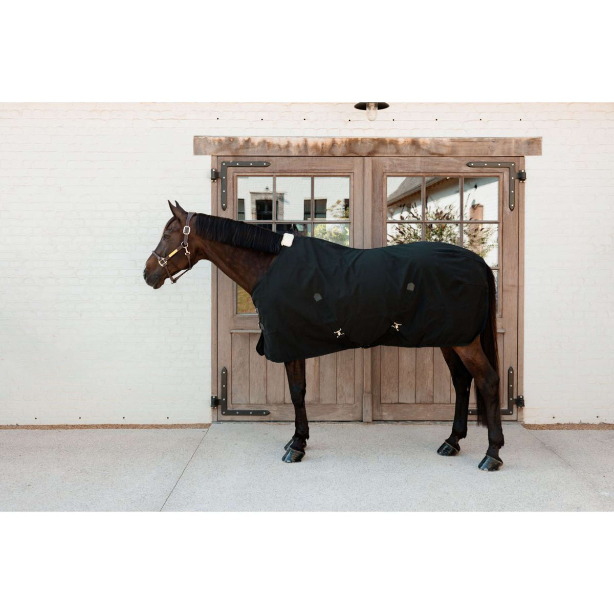Kentucky Canvas Sheet Negro