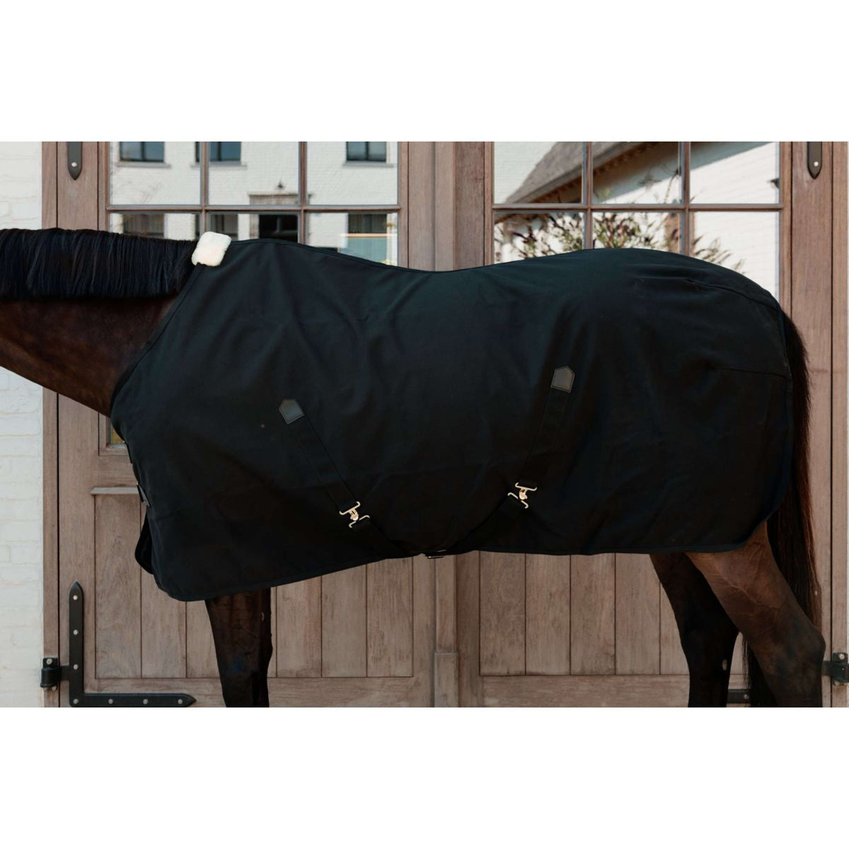 Kentucky Canvas Sheet Negro