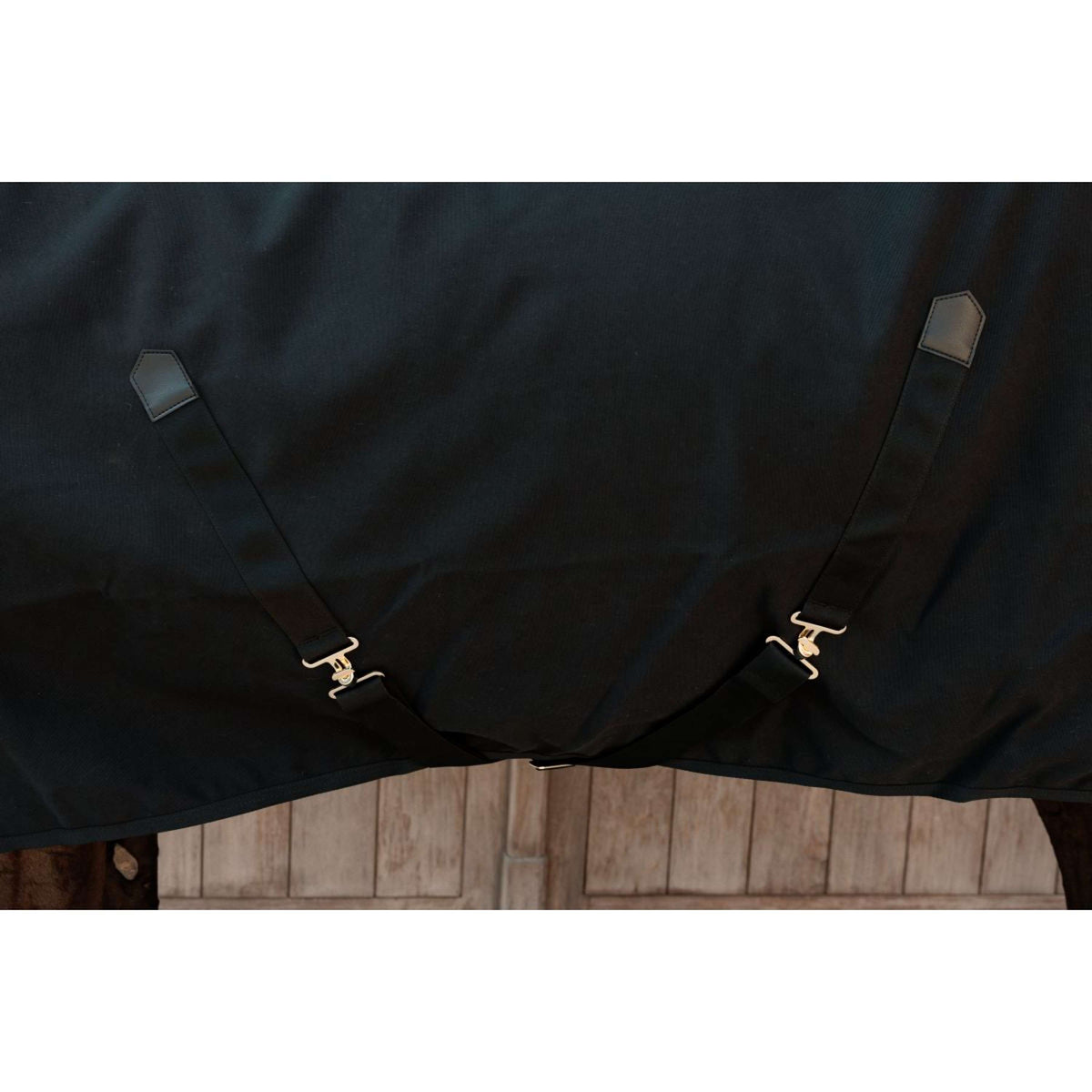 Kentucky Canvas Sheet Negro