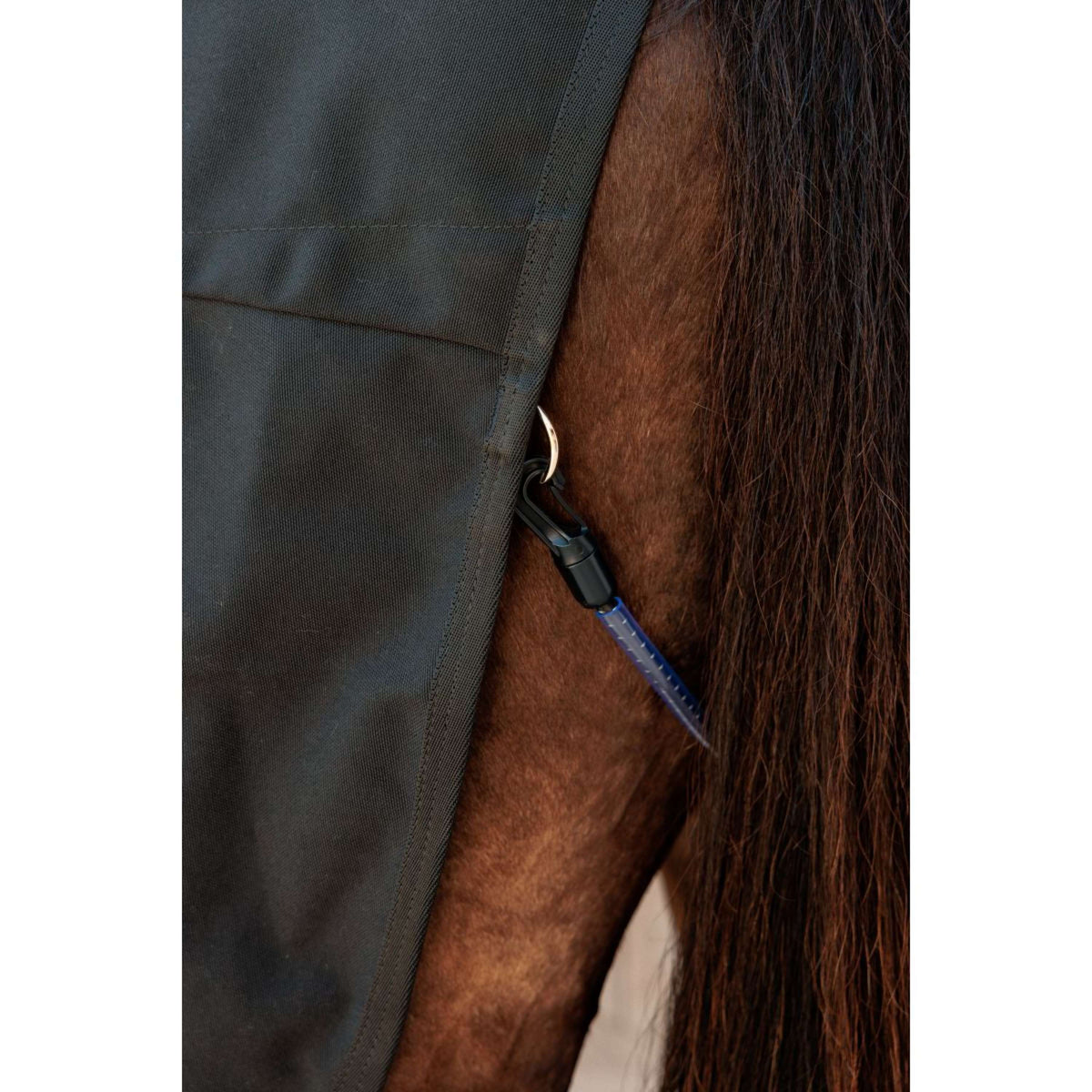 Kentucky Canvas Sheet Negro