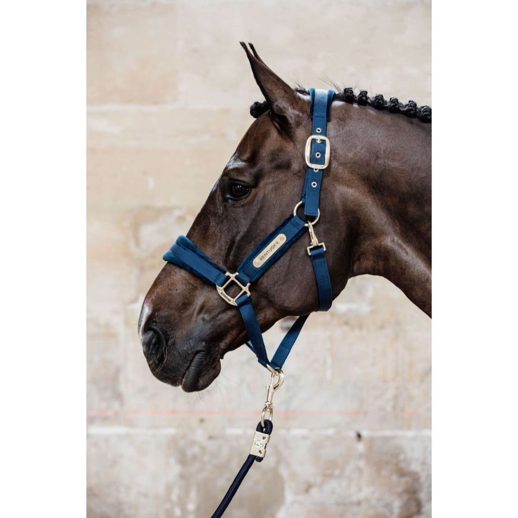 Kentucky Horsewear Cabestro Velvet Navy